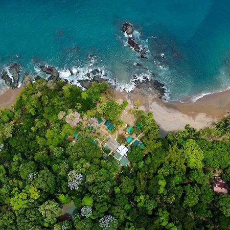 Corcovado Adventures Hostel Drake Bay Ngoại thất bức ảnh