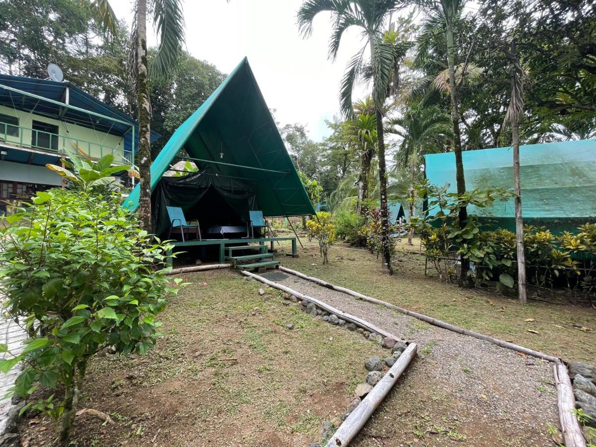 Corcovado Adventures Hostel Drake Bay Ngoại thất bức ảnh