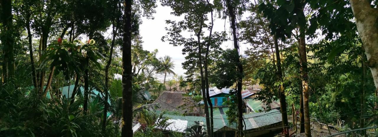Corcovado Adventures Hostel Drake Bay Ngoại thất bức ảnh