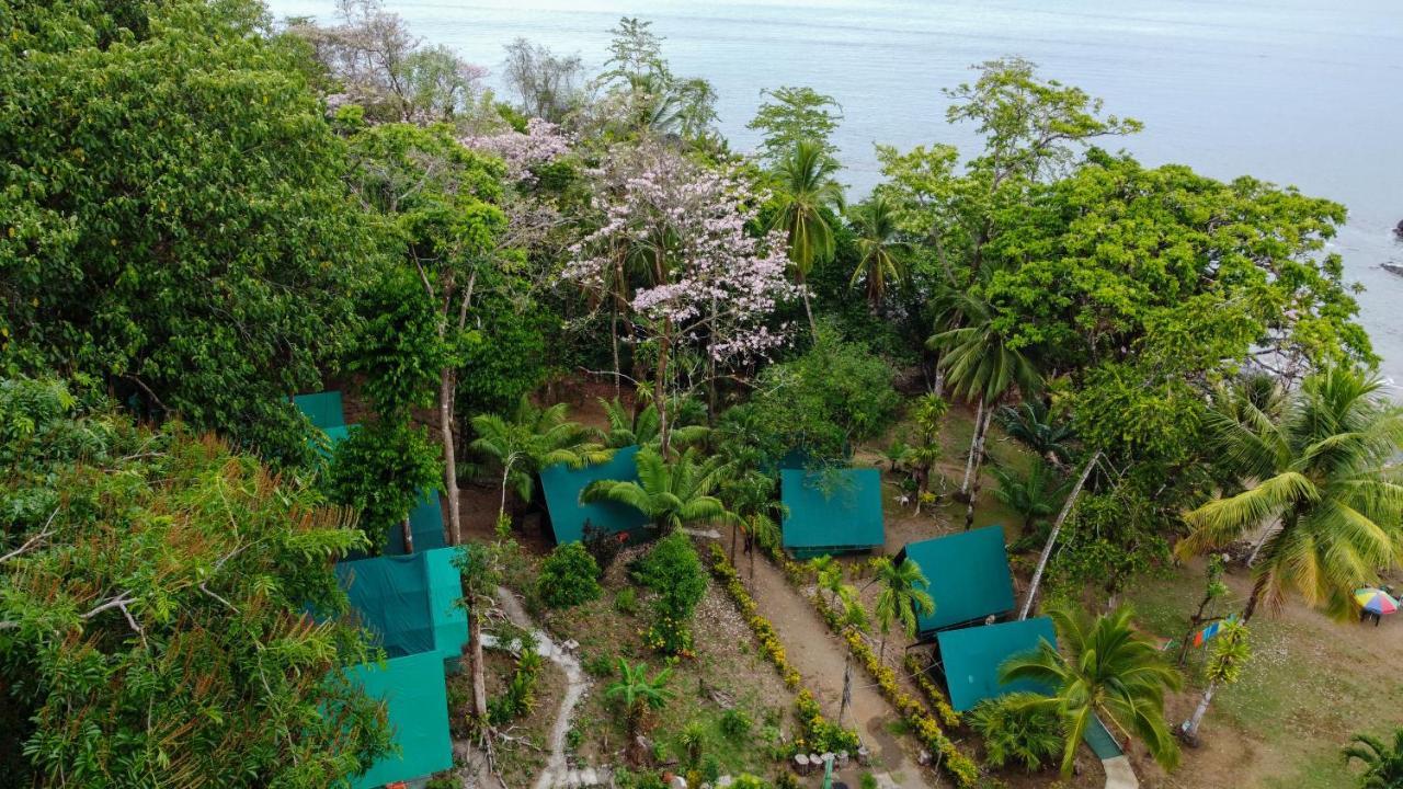 Corcovado Adventures Hostel Drake Bay Ngoại thất bức ảnh