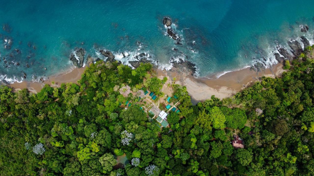 Corcovado Adventures Hostel Drake Bay Ngoại thất bức ảnh