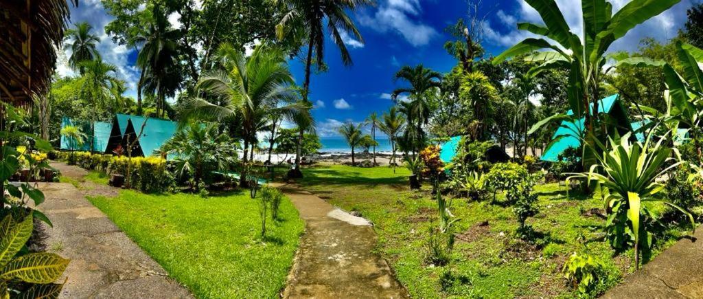 Corcovado Adventures Hostel Drake Bay Ngoại thất bức ảnh