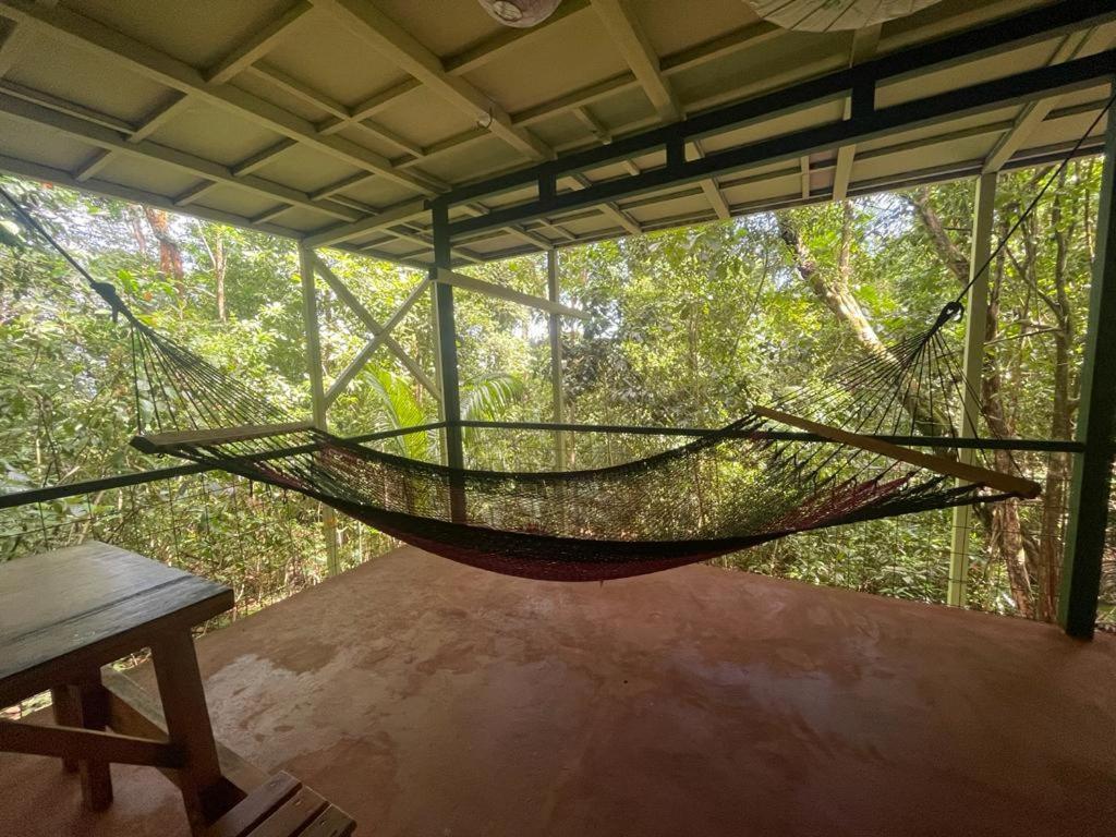 Corcovado Adventures Hostel Drake Bay Ngoại thất bức ảnh