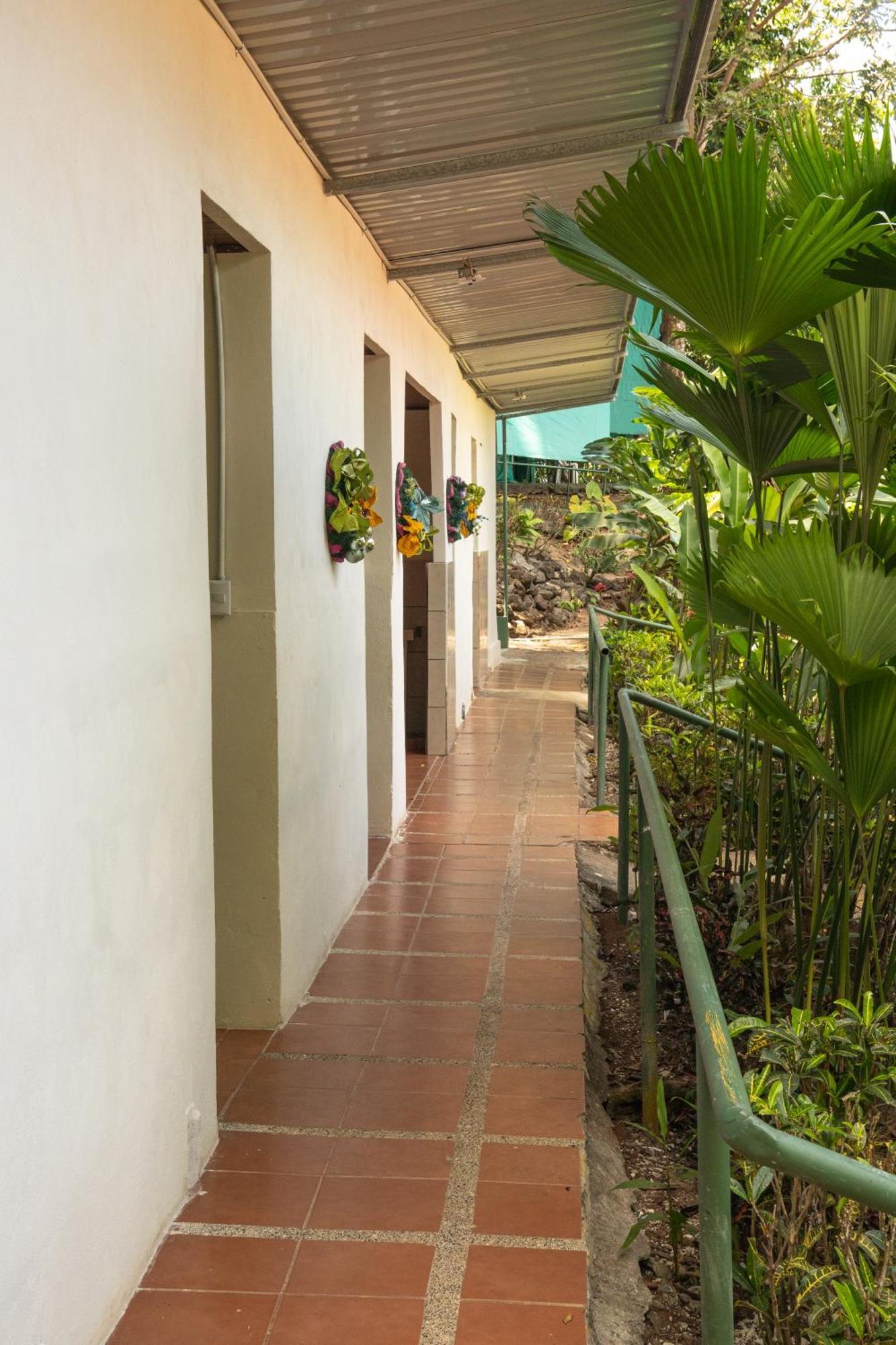 Corcovado Adventures Hostel Drake Bay Ngoại thất bức ảnh