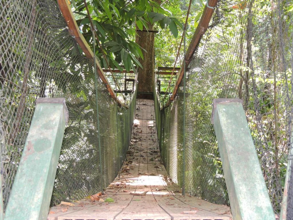 Corcovado Adventures Hostel Drake Bay Ngoại thất bức ảnh