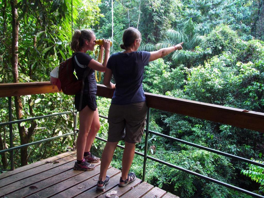 Corcovado Adventures Hostel Drake Bay Ngoại thất bức ảnh